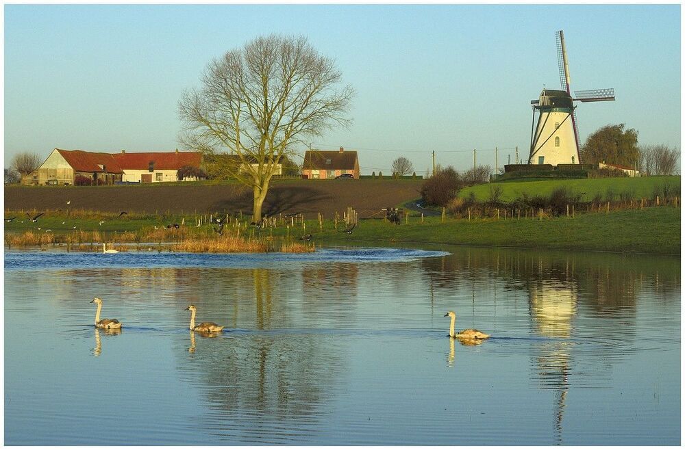 flood at the windmill.