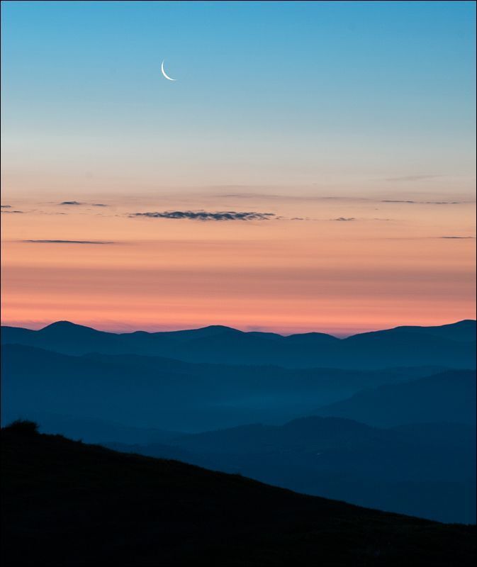 Кардиограммы моего сердца