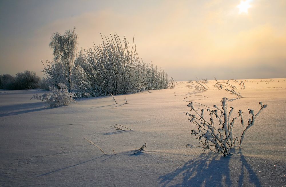 Морозное утро