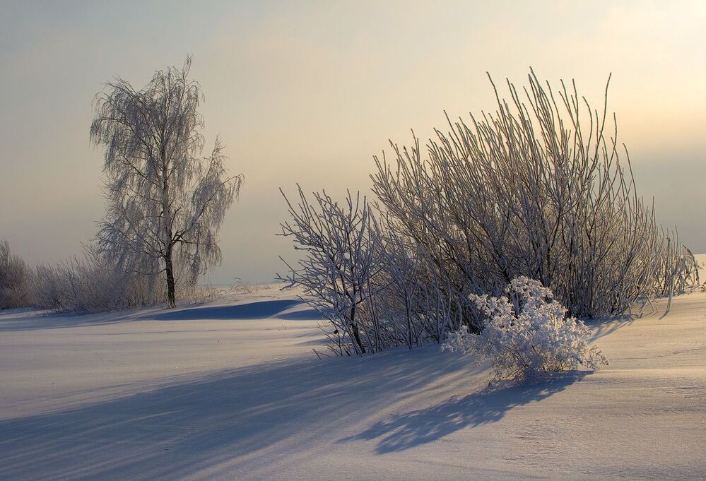Морозное утро