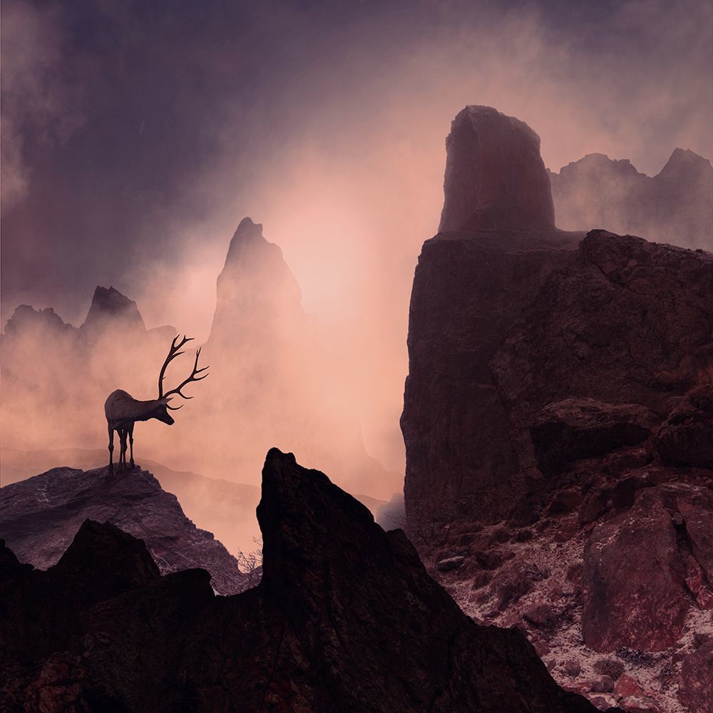 Exploring the unknown II