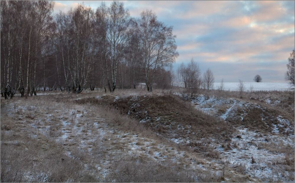 Маленькая история одного ноябрьского утра.