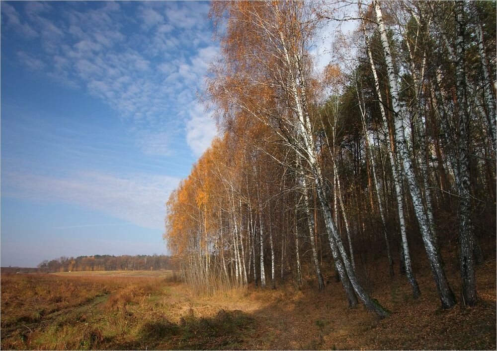 золотое время...