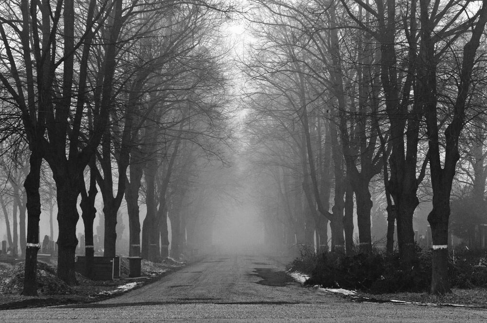 Trip to Bengaluru/India and visit to central graveyard in Vienna/Austria