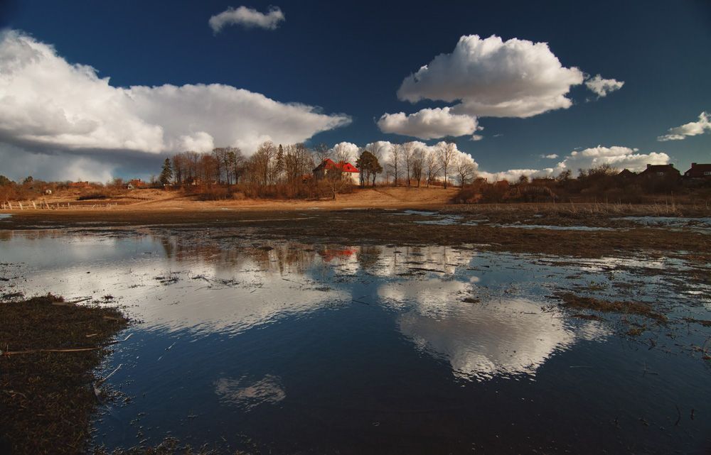 Весенний мотив