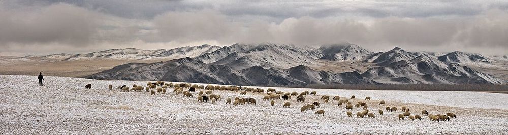 Photo 48811