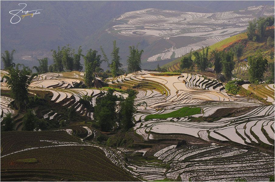 Viet Nam