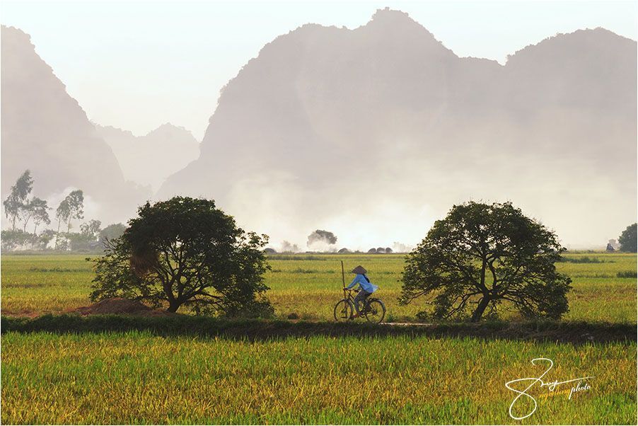 Viet Nam
