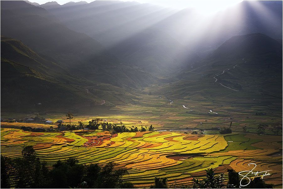Viet Nam