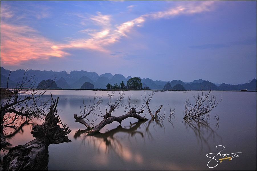 Viet Nam