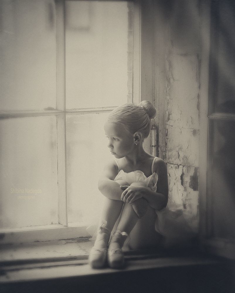Photo 480690