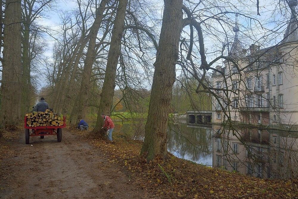 The loggers of Poeke.
