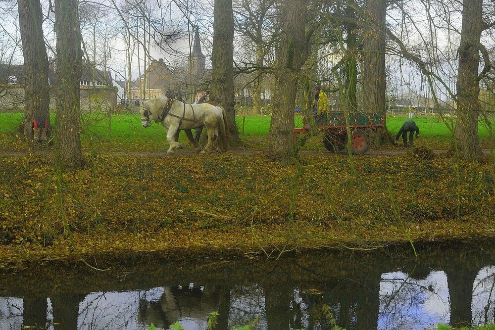 The loggers of Poeke.