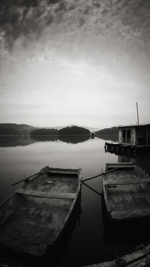 Photo 481856