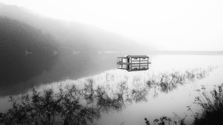 Photo 481863