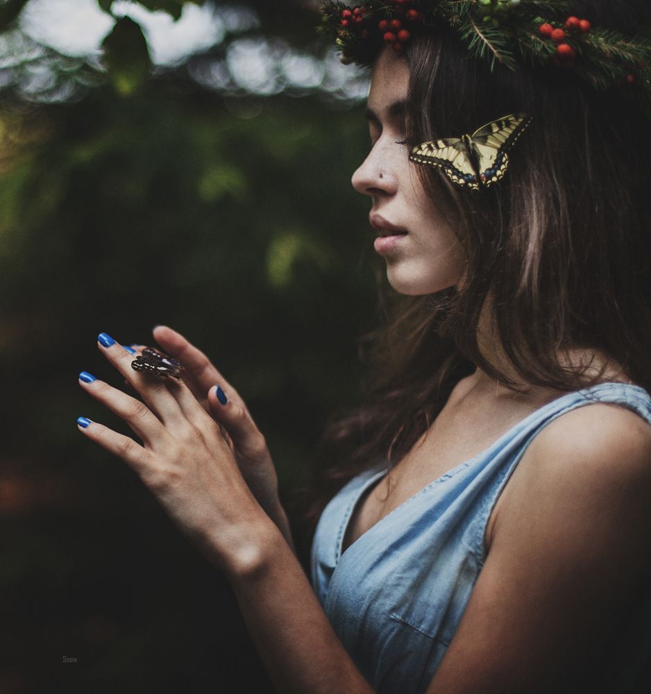 Kate and fairy forest