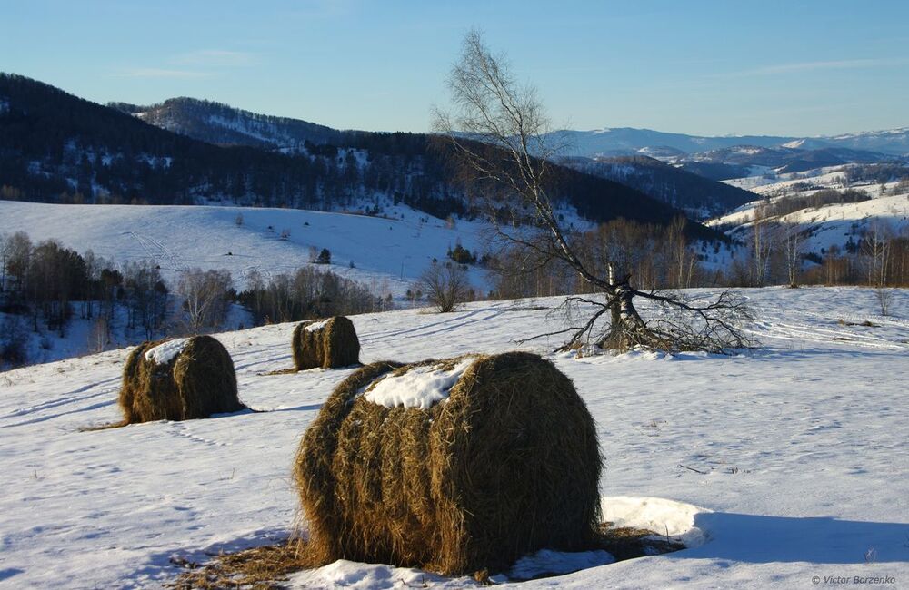Алтай. Вторая неделя декабря.(2)