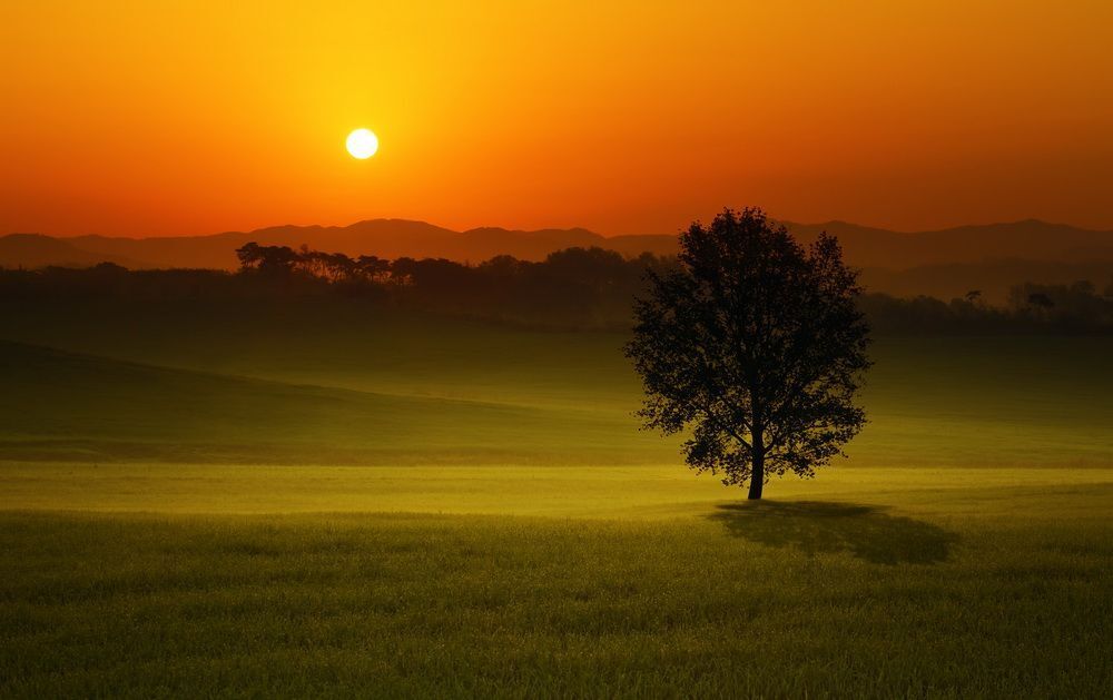 You are my sun