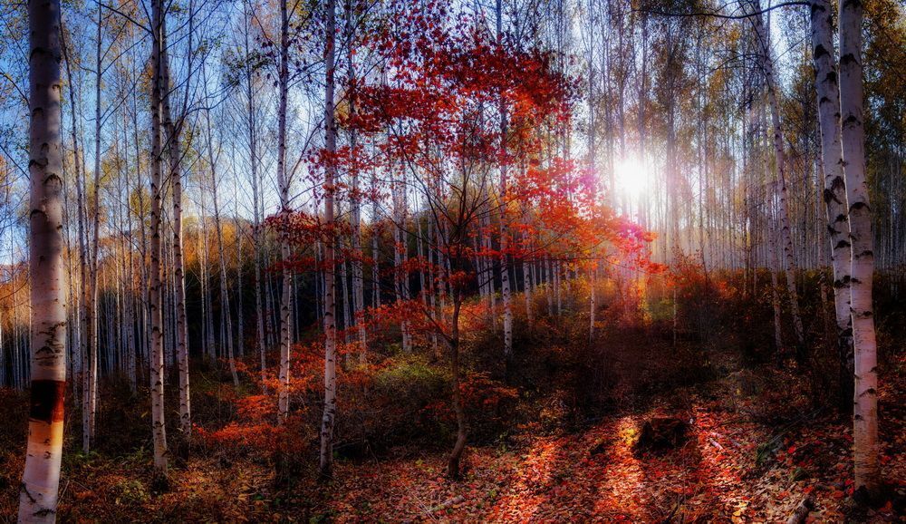The morning sun beamed down on us