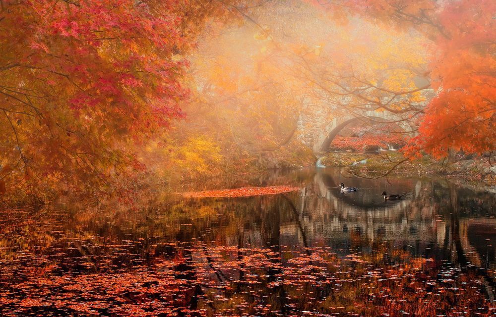It is another new day of autumn