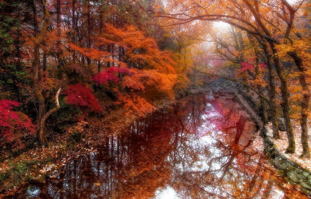 Lovely memories of the autumn