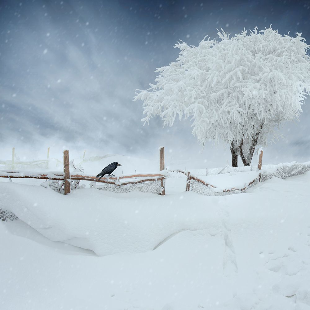 Winter is close