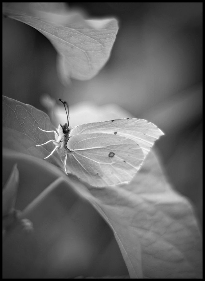 Photo 485358