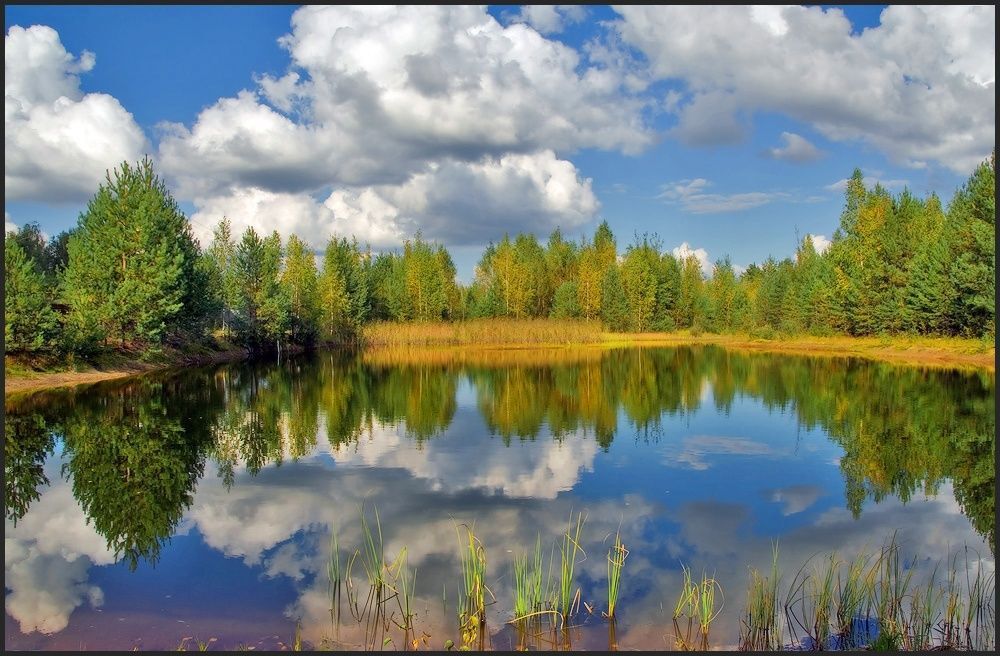 Осенние  отражения