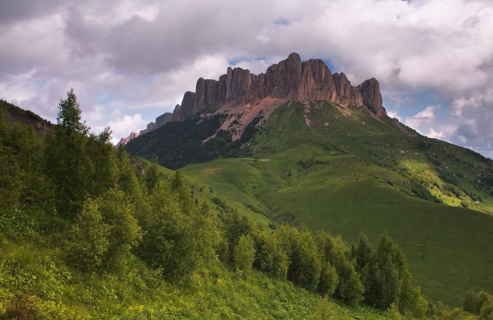 На лугах Тхачевья
