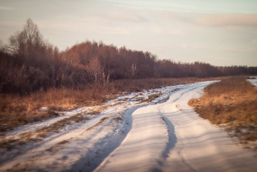 Окские заморозки