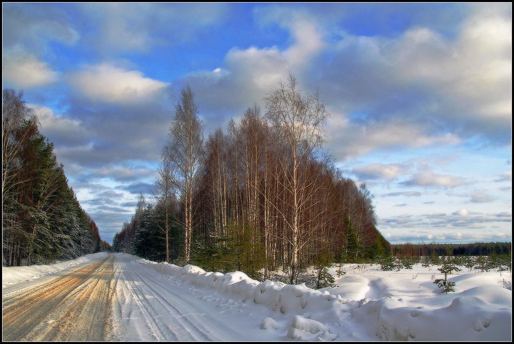 Немного зимнего леса