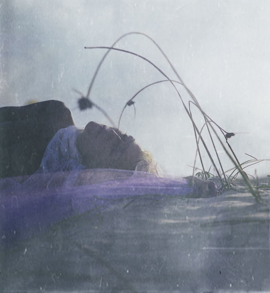 Sounds of purple wind