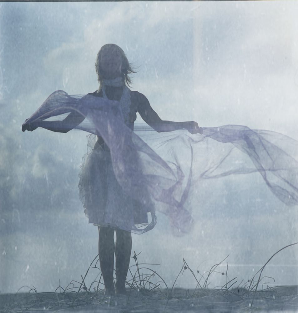 Sounds of purple wind
