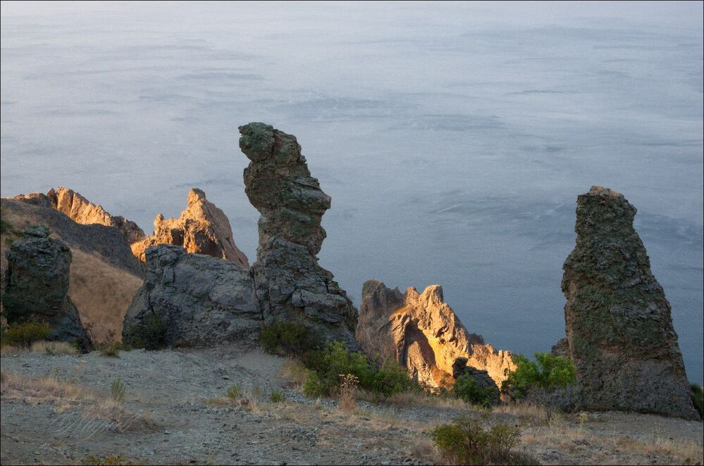 Карадагские пряничные кони