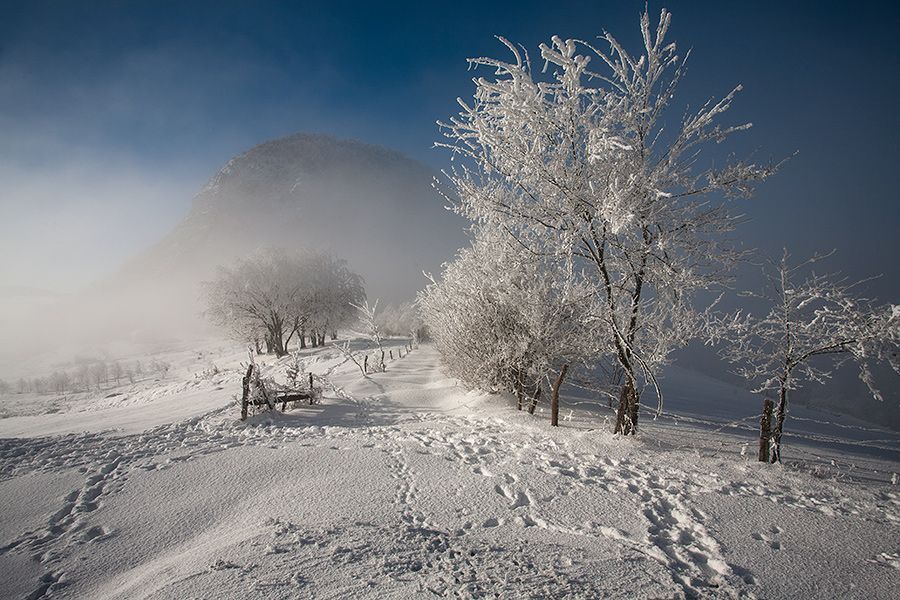 Fog & sun