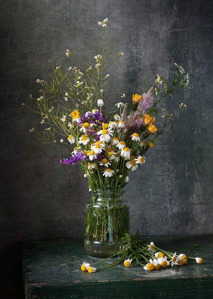 Still life with chamomile 1