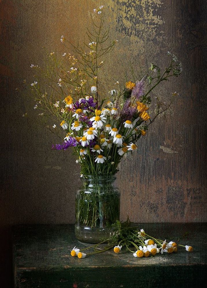 Still life with chamomile 2