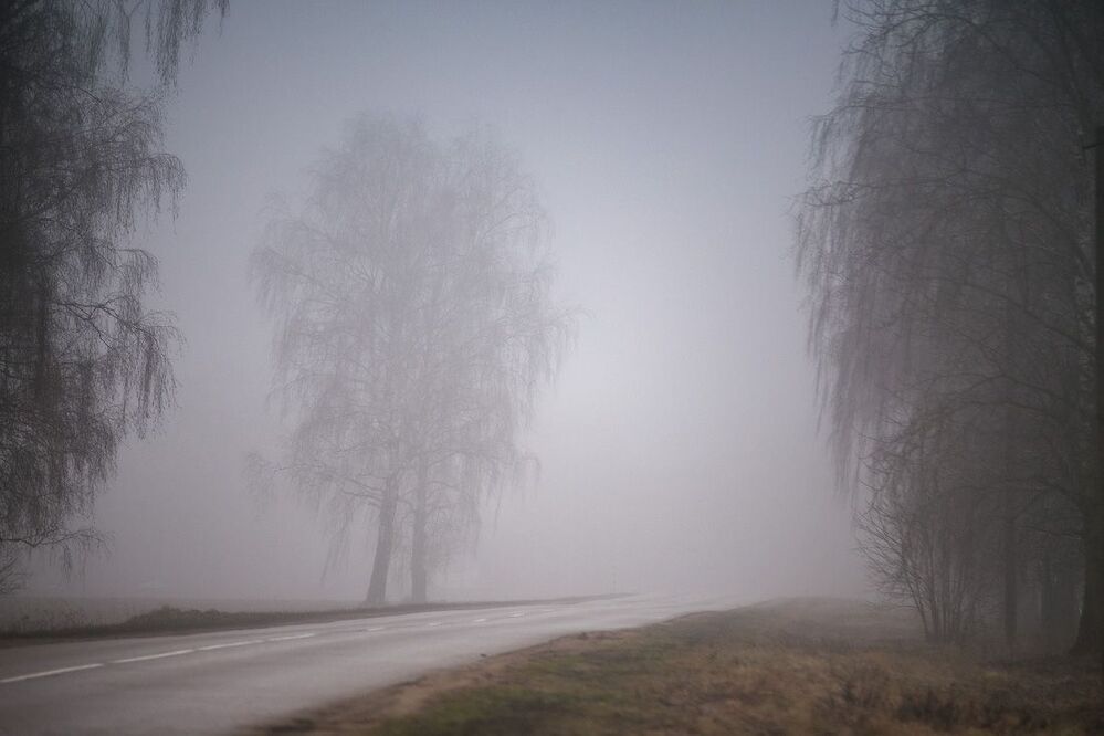 Январские туманы