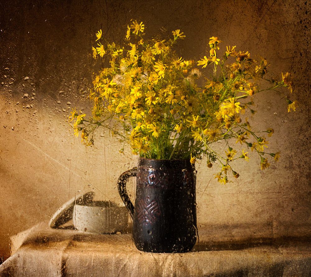 Wildflowers