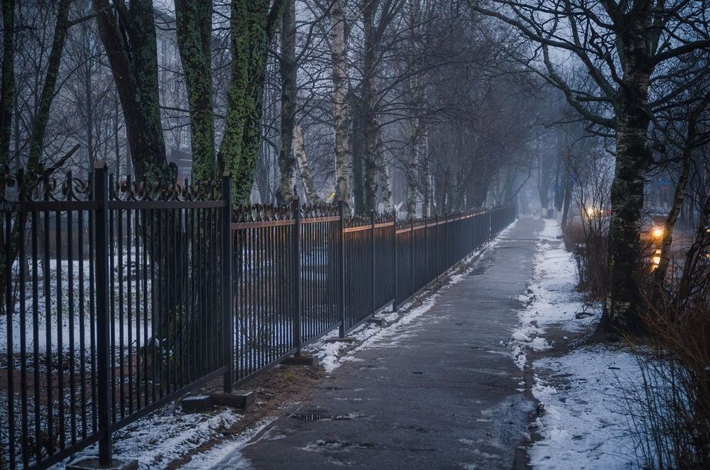 Январские прогулки