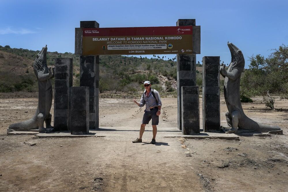 Komodo Dragons