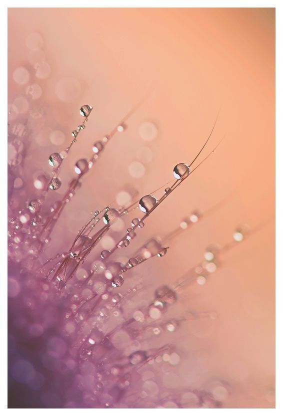 1. pink bubbles