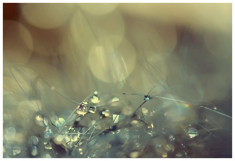 6. tears