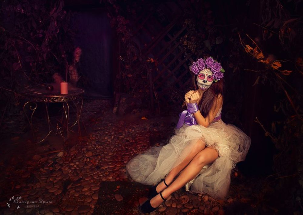 Photo 495291