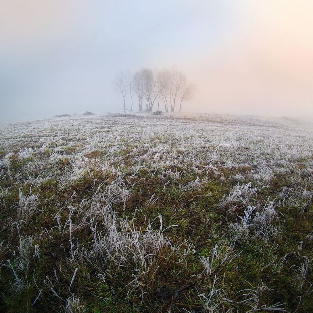 Photo 495398