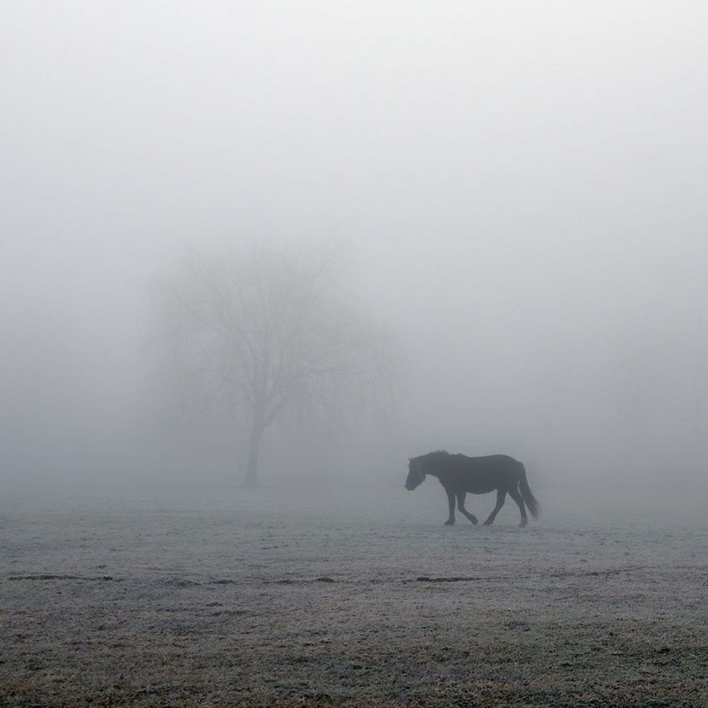 Photo 495399