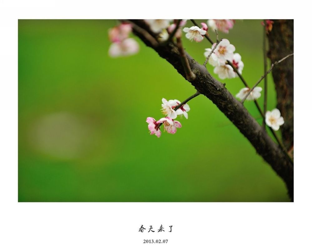 Photo 495500