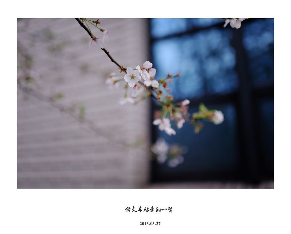 Photo 495502