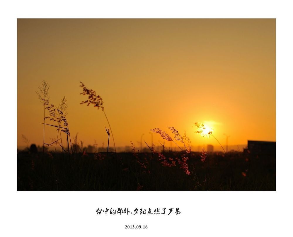 Photo 495503
