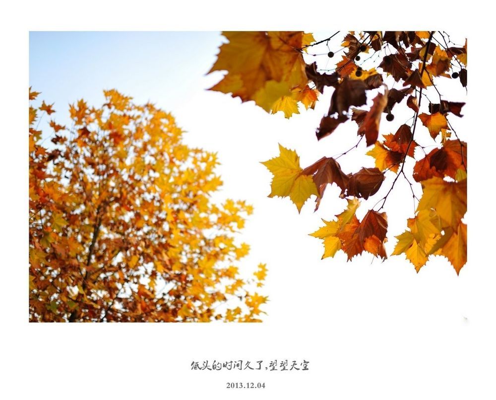 Photo 495504